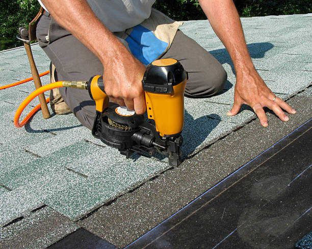 Roof Gutter Cleaning in Carbon Cliff, IL