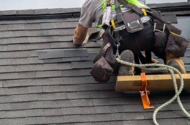 Best Flat Roof Repair Services  in Carbon Cliff, IL